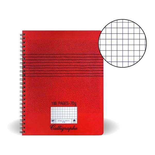 Cahier spirales 17x22cm 100p 5x5