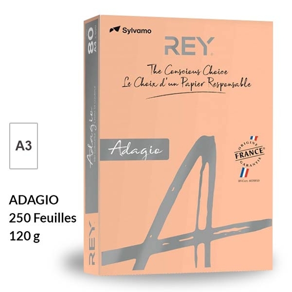 Ramette papier SAUMON PASTEL A3 120g - REY Adagio