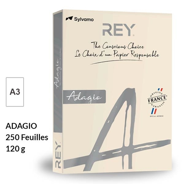 Ramette papier IVOIR PASTEL A3 120g - REY Adagio