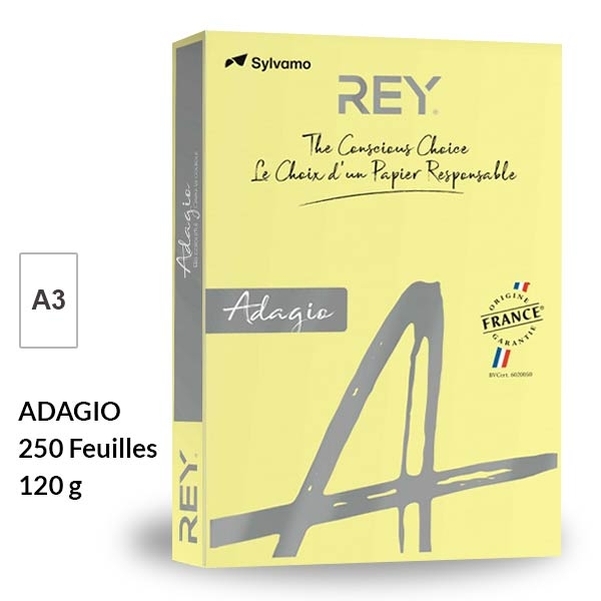 Ramette papier CANARI PASTEL A3 120g - REY Adagio
