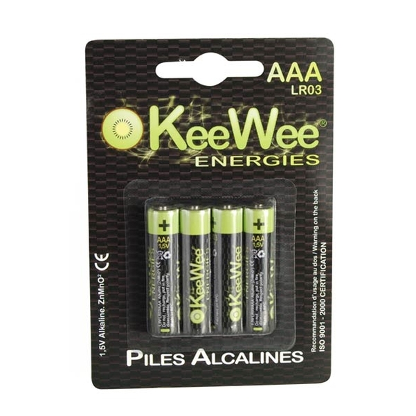 Blister 4 piles LR03 - AAA