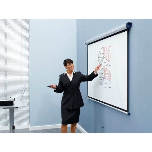 Ecran de projection mural 240x181 cm