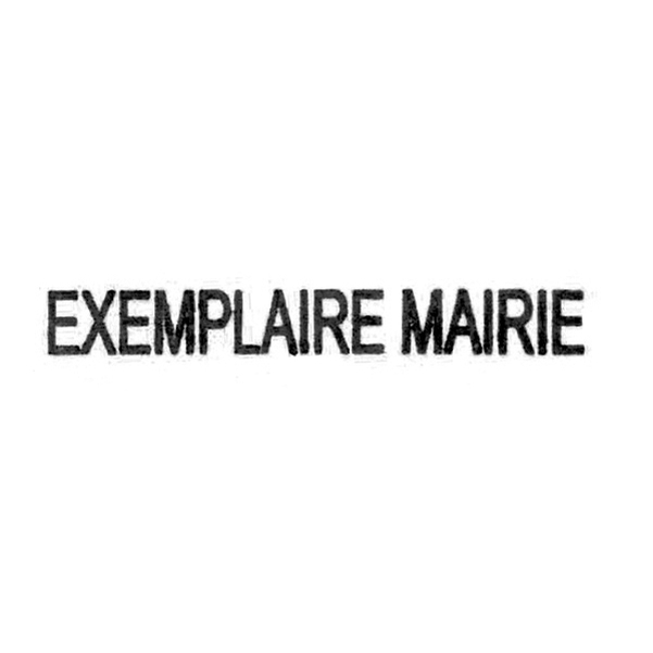 Timbre automatique " Exemplaire Mairie "