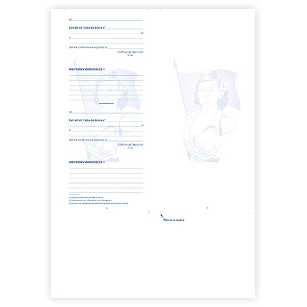 Lot de 10 Encarts Colibri préimprimé sans pointillé pour livret de famille Informatique Colibri - MODÈLE 2022 - Vignette 2