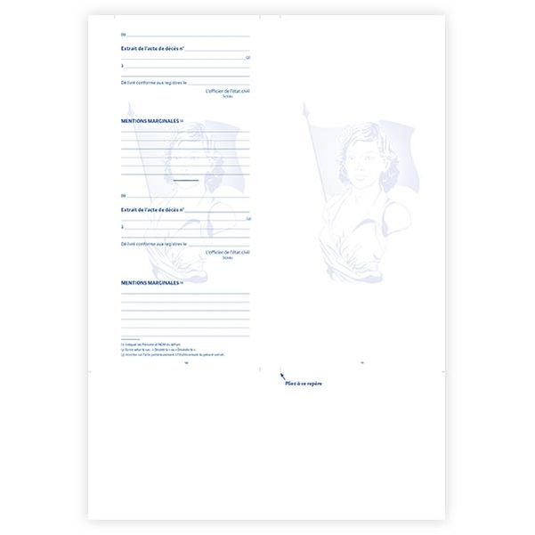 Lot de 10 Encarts Colibri vierge pour livret de famille Informatique Colibri - Modèle 2022 - Vignette 2