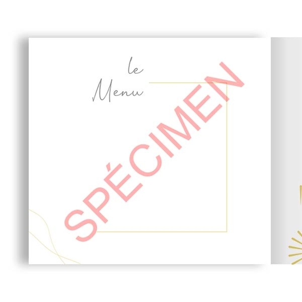 Livre d'Or Notre Mariage Notre Vie - Vignette 4