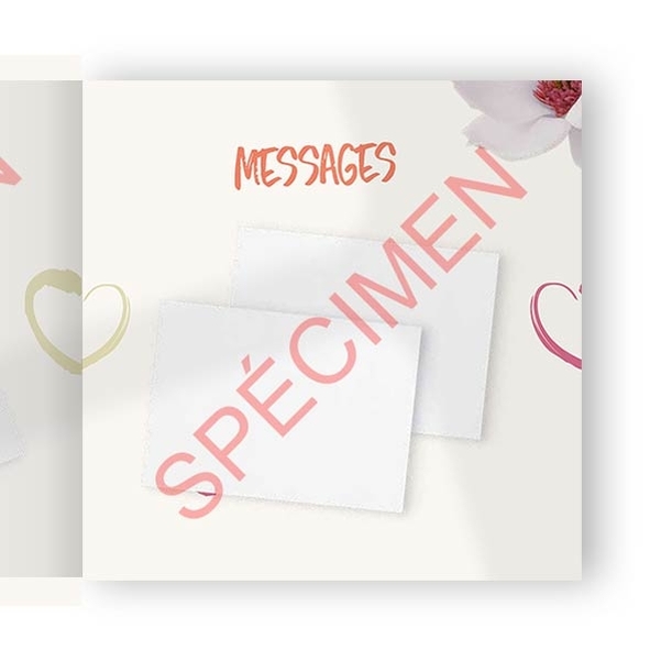 Album Notre Mariage - Vignette 4