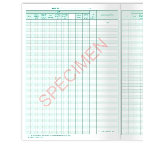 Journal grand livre - régie de recettes - Vignette 2