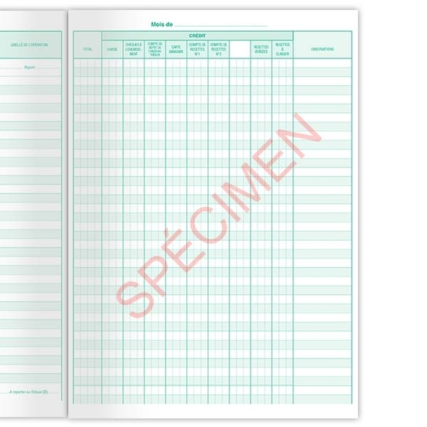 Journal grand livre - régie de recettes - Vignette 3
