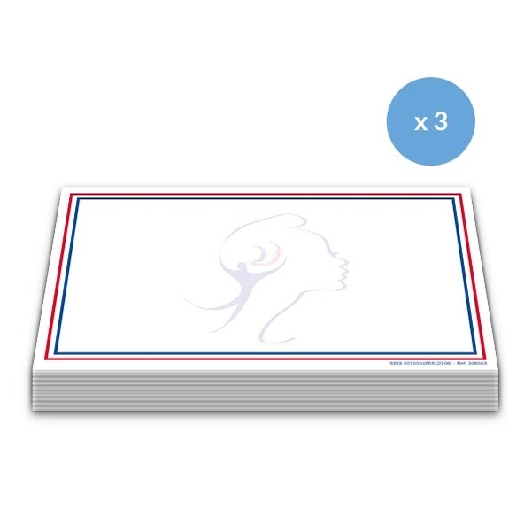 Lot de 3 Blocs notes Marianne
