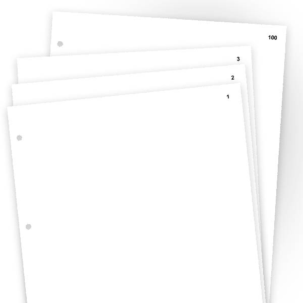 Paquet de 100 feuilles A4 NTES perforées - Vignette 2
