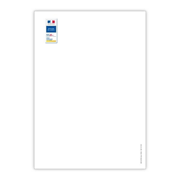 Fond de page de recensement militaire - Paquet de 100