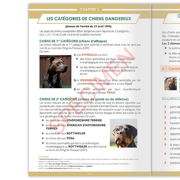 Guide pratique des chiens dangereux - Vignette 4
