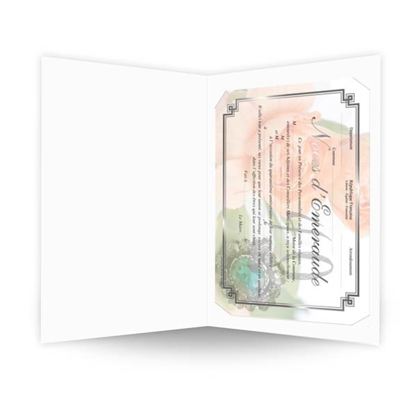 Chemise pour remise de diplôme - Vignette 2