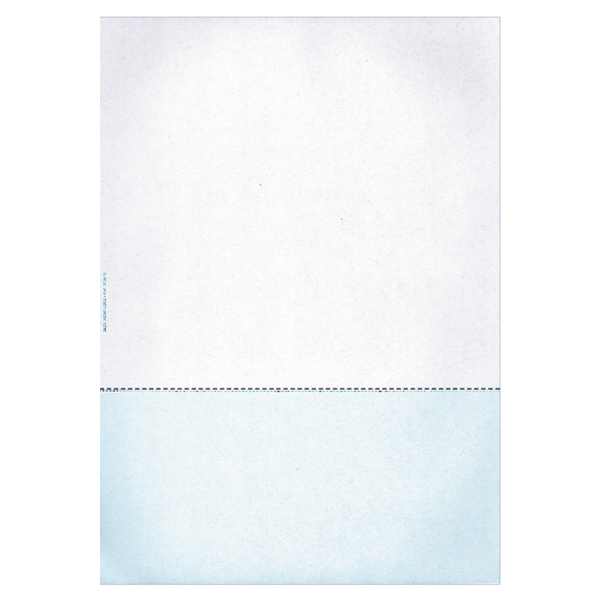 Mandat de paiement et ordre de virement bleu