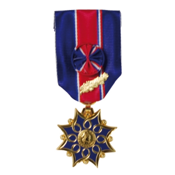 Médaille d'honneur de la santé et des affaires sociales - Echelon or
