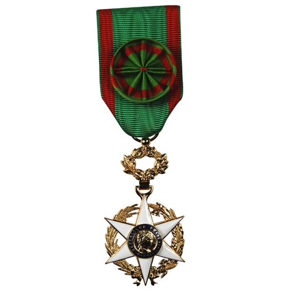 Médaille ordre du mérite agricole en métal doré