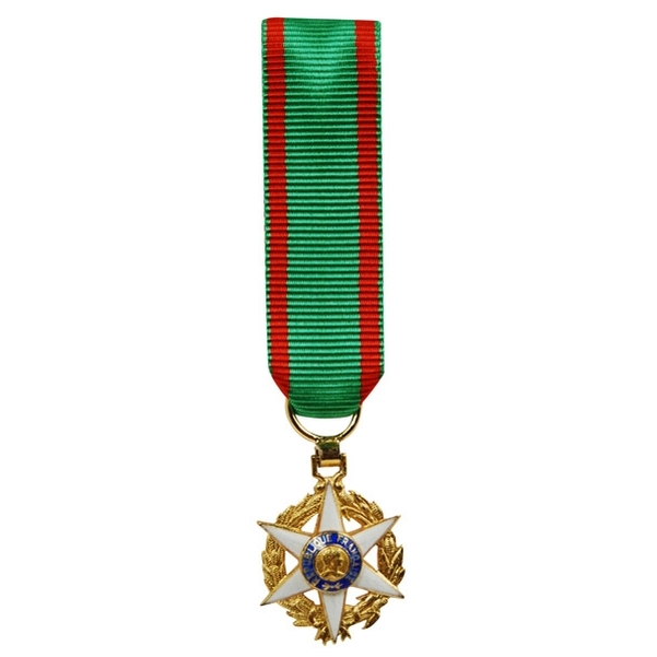 Médaille miniature ordre du mérite agricole en argent doré