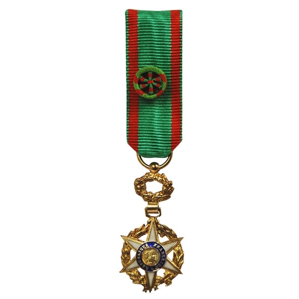 Médaille miniature ordre du mérite agricole en argent doré