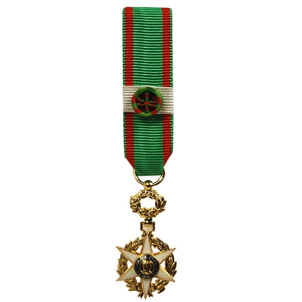 Médaille miniature ordre du mérite agricole en argent doré