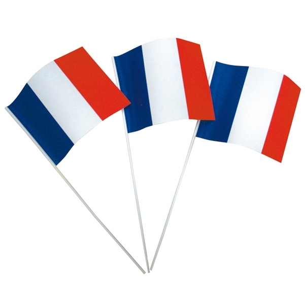 Lot de 10 drapeaux à main français