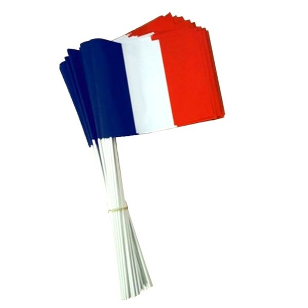 Lot de 100 drapeaux à main français