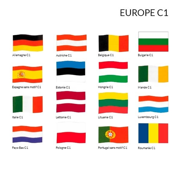Drapeau de l'UE et du Monde 80x120 cm - C1