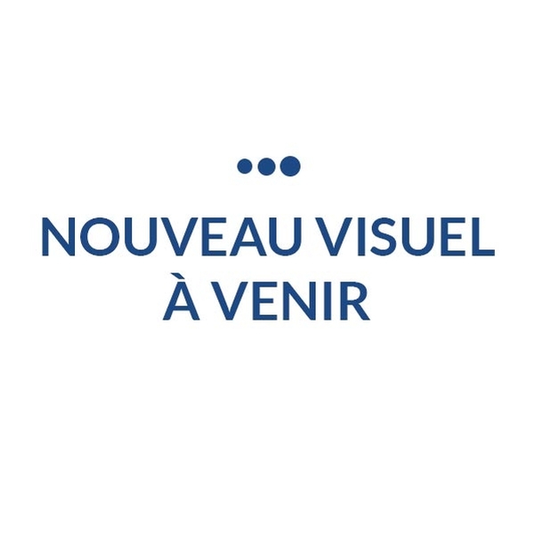 Tissu de rechange pour drapeau sur hampe métallique 80 x 120 cm