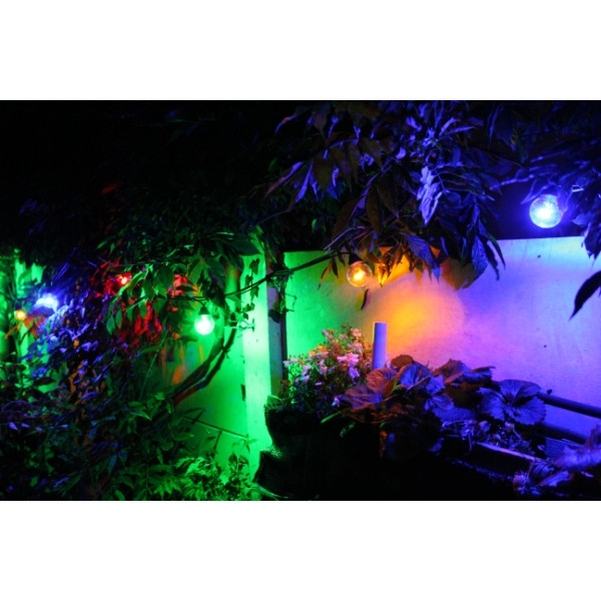 Guirlande Tradition LED multicolore - L.5m