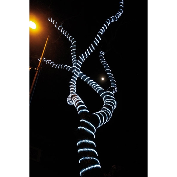 Cordon lumineux blanc métal 30 Leds - Rouleau de 44 m - Vignette 2