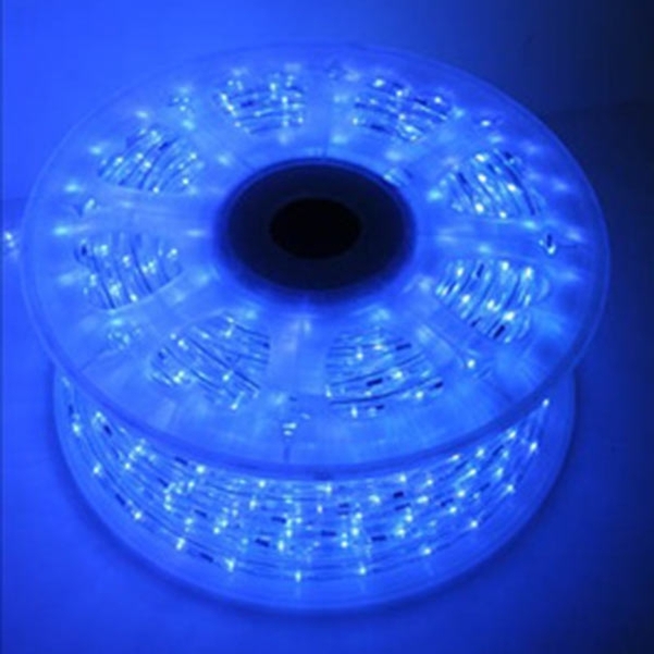 Cordon lumineux bleu 30 Leds - Rouleau de 44 m