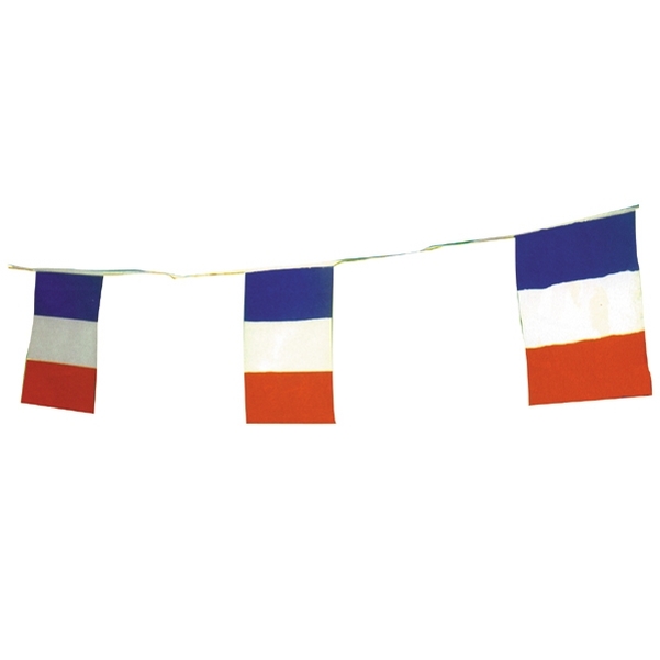 Lot de 12 guirlandes plastique pavillons rectangulaires tricolore