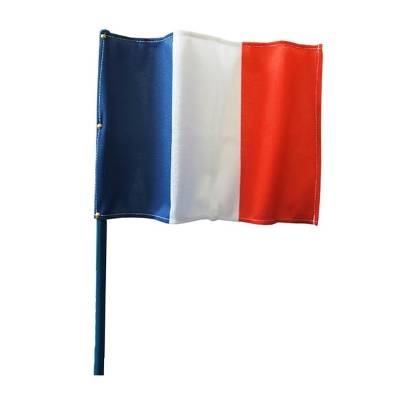 Drapeau français 20x30 cm