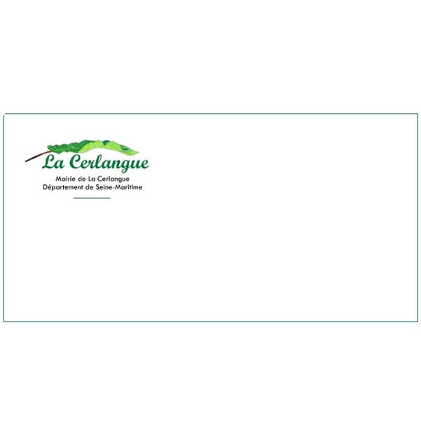 500 Enveloppes DL (11 x 22 cm) - Velin Blanc 80g - Impression RECTO Quadri - Vignette 4