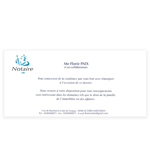 50 Cartes de correspondance 99x210 mm impression RECTO - Papier Couché 300g - Vignette 2