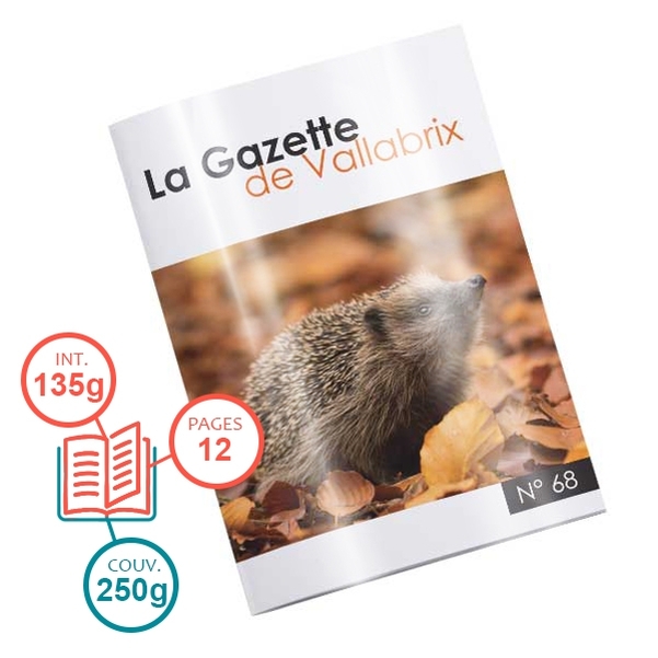 Brochure 12 pages avec intérieur 135g et couverture 250g - Papier brillant