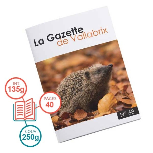 Brochure 40 pages avec intérieur 135g et couverture 250g - Papier brillant