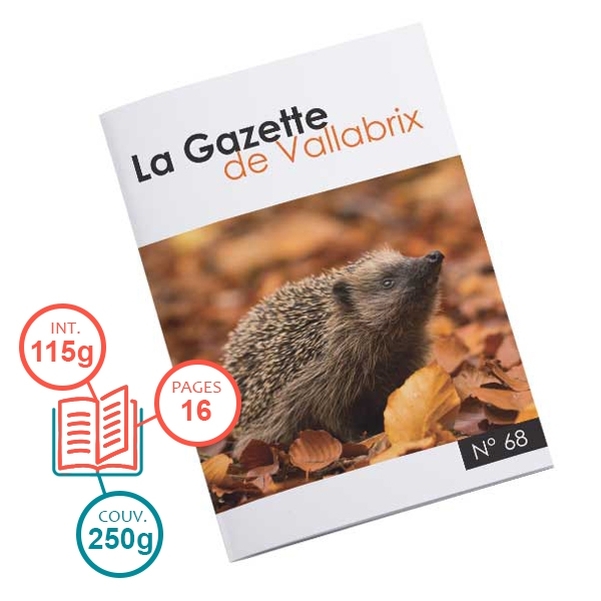 Brochure 16 pages avec intérieur 115g et couverture 250g - Papier mat