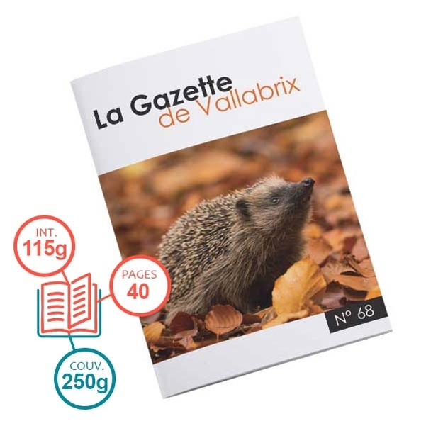 Brochure 40 pages avec intérieur 115g et couverture 250g - Papier mat