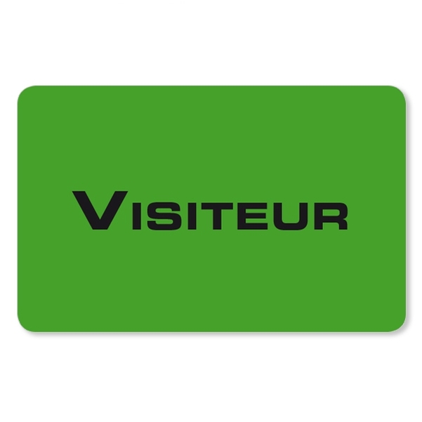 Lot de 10 badges visiteurs vert