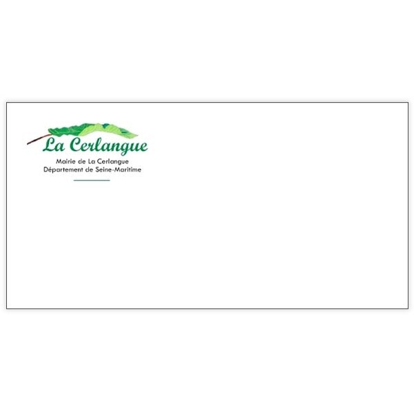 500 Enveloppes DL (11 x 22 cm) - Velin Blanc 90g - Impression RECTO Quadri et VERSO 1 couleur - Vignette 5