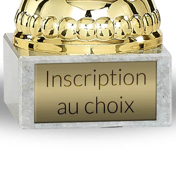 Lot 12 coupes Champion - Vignette 2