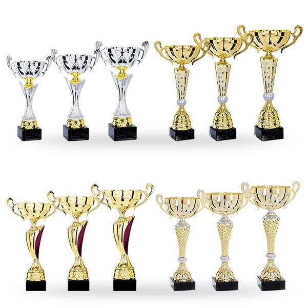 Lot de 12 coupes Premium