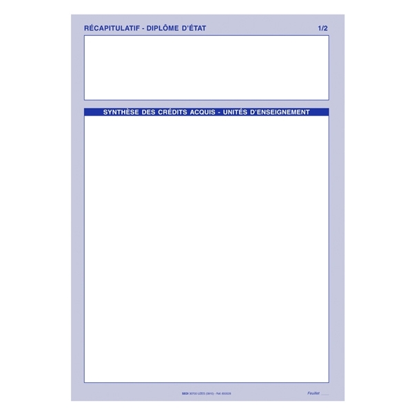 25 feuillets - Récapitulatif Diplôme d'Etat 1/2 et 2/2 du dossier infirmier - Version informatisée