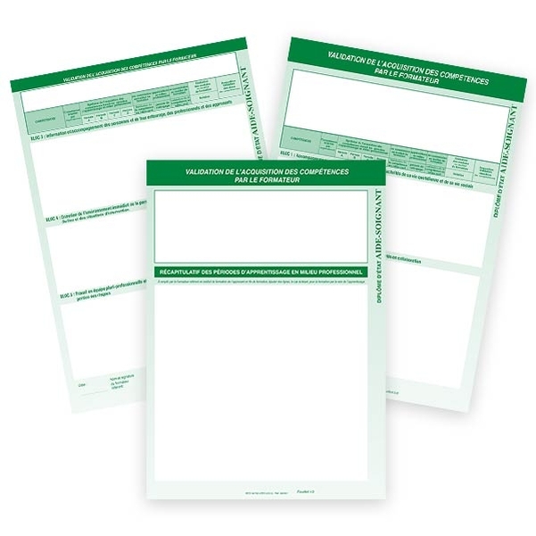 Validation de l'acquisition des compétences en milieu professionnel par le FORMATEUR - Diplôme Aide-soignant - Version informatisée