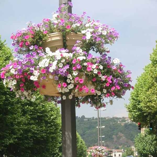 Demi-vasque 30L