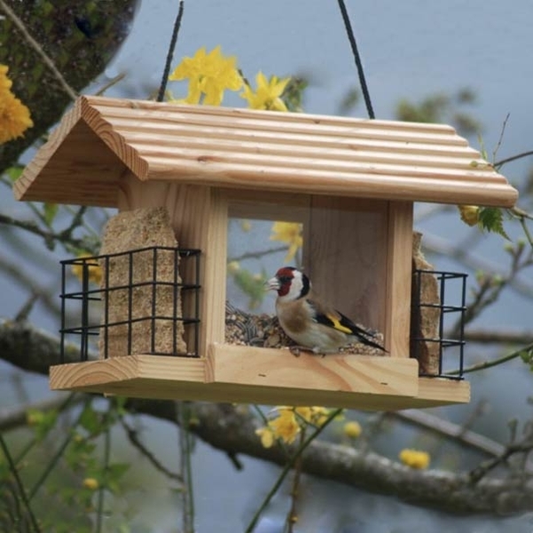 Nichoir à oiseaux - Kit découverte la Cantine
