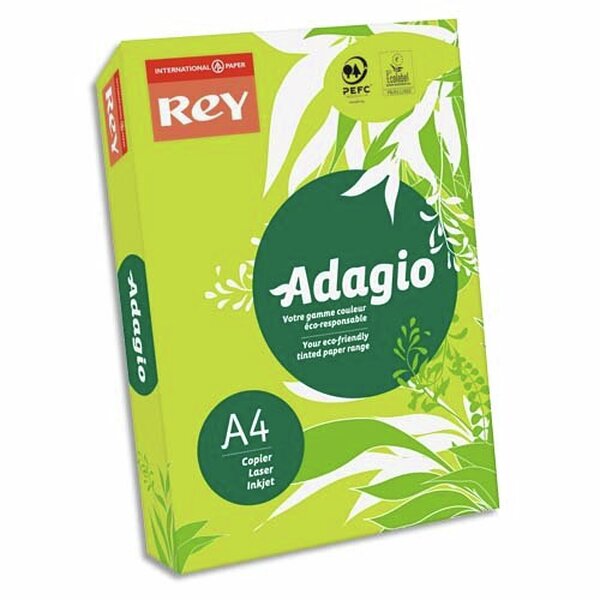 INAPA Ramette 500 feuilles papier couleur pastel ADAGIO vert pastel A4 80g SANS MARQUE