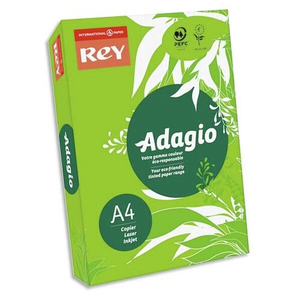 INAPA Ramette 500 feuilles papier couleur intense ADAGIO vert intense A4 80g SANS MARQUE