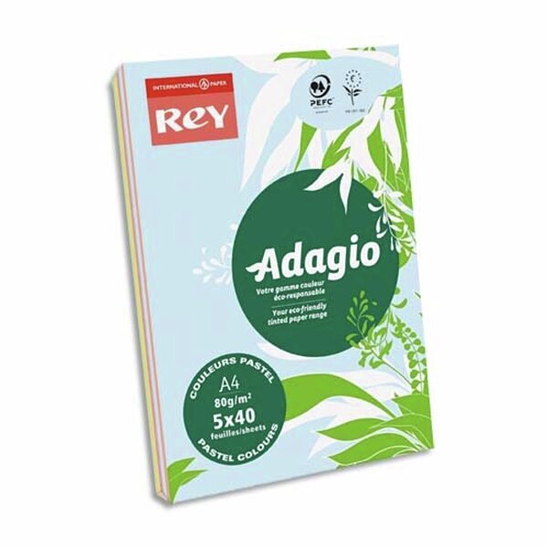 INAPA Ramette 40 feuilles x 5 teintes papier couleur pastel & vive ADAGIO assortis pastel&vifs A4 80g SANS MARQUE